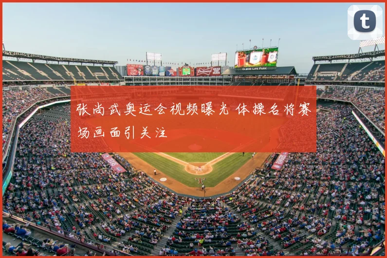 张尚武奥运会视频曝光 体操名将赛场画面引关注