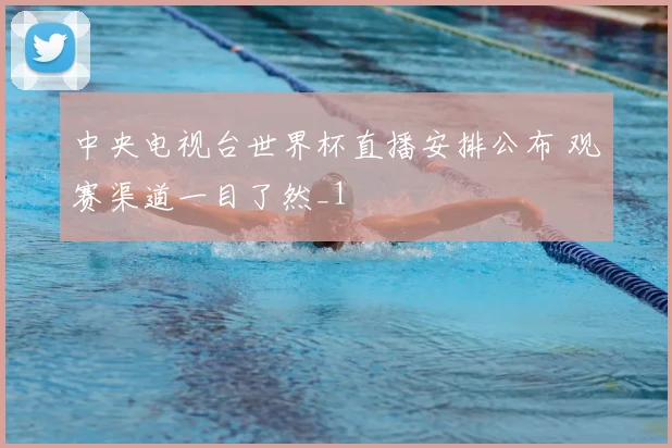 中央电视台世界杯直播安排公布 观赛渠道一目了然_1