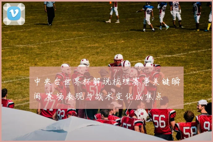 中央台世界杯解说梳理赛事关键瞬间 赛场表现与战术变化成焦点
