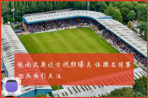 张尚武奥运会视频曝光 体操名将赛场画面引关注