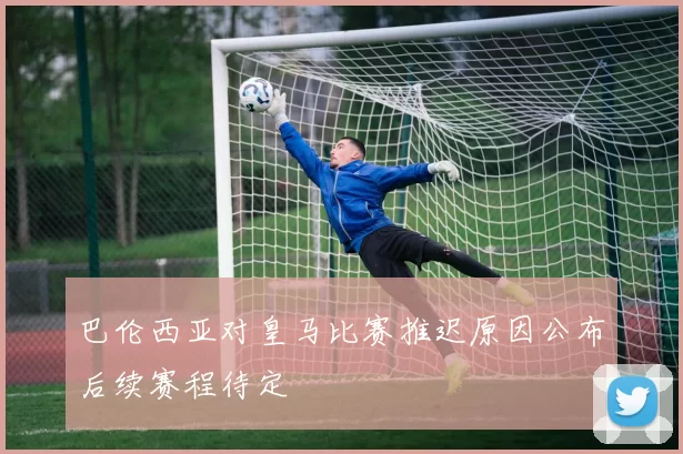 巴伦西亚对皇马比赛推迟原因公布后续赛程待定